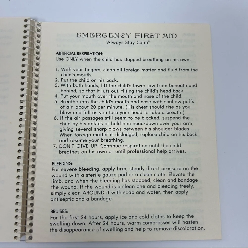 Vintage Hallmark 1972 Dear Babysitter book notebook instructions by Betsey Clark